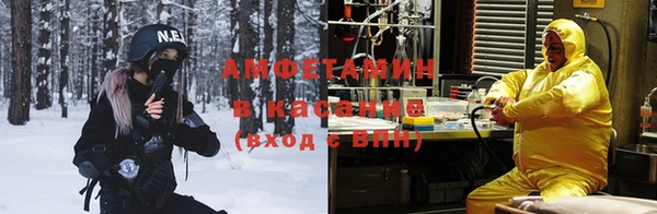 соль ск Пересвет