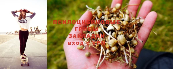 ешки Абаза
